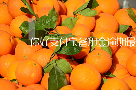 你好支付宝备用金逾期最多几天