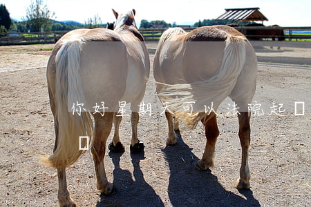 你好星期天可以法院起訴嗎(星期天法院開庭嗎)