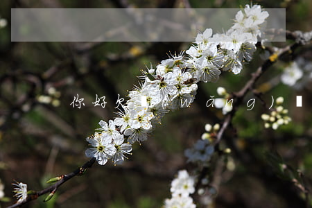你好 欠網(wǎng)貸二千不還會坐牢嗎