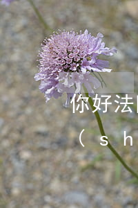 你好法院開(kāi)庭當(dāng)時(shí)人不到場(chǎng)可以嗎(法院開(kāi)庭當(dāng)事人必須到場(chǎng)嗎)