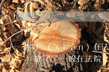 你好現(xiàn)在法院可以開(kāi)庭了嗎(一般在法院開(kāi)庭了什么時(shí)候能判)