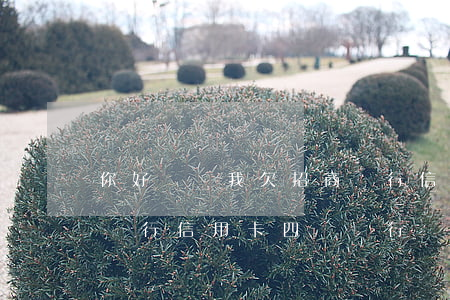 你好請問我欠招商銀行信用卡4萬-欠招商銀行信用卡四萬,銀行會怎么辦