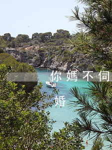你媽不伺候我爸就離婚(你媽不伺候我爸就離婚)