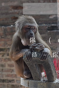 你對(duì)信用卡逾期這一件事怎么看待-你對(duì)信用卡逾期這一件事怎么看待呢