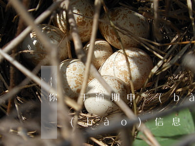 你屬于逾期申報(bào)-存在逾期未申報(bào)信息