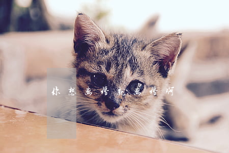 你想离婚就离婚啊
