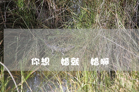 你想離婚就離婚啊