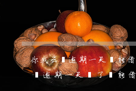 你我云貸逾期一天還能借嗎(網(wǎng)貸逾期一天還了還能借嗎)