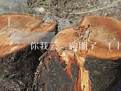你我云貸逾期了會(huì)怎么樣