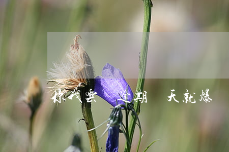 你我云貸逾期兩天就爆