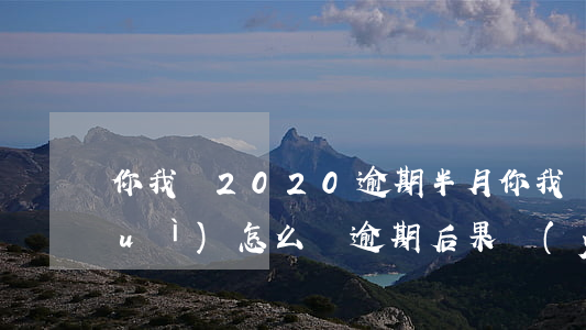 你我貸2020逾期半月(你我貸逾期會(huì)怎么樣?逾期后果嚴(yán)重嗎?)