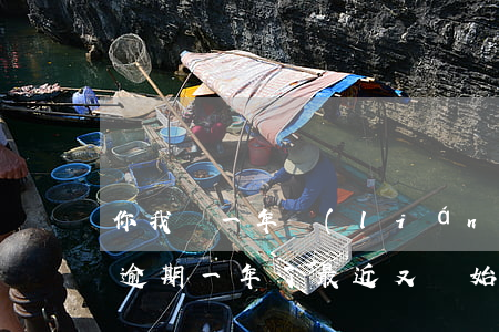 你我貸一年聯(lián)系說逾期(你我貸逾期一年了,最近又開始催收了)