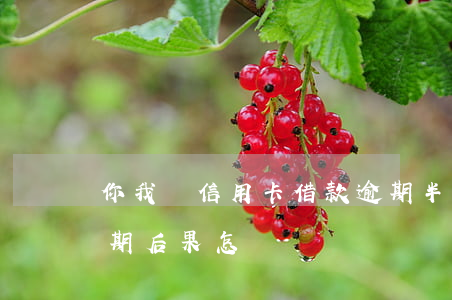 你我貸信用卡借款逾期半年了-你我貸款逾期后果怎樣