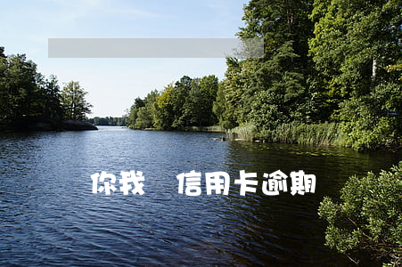 你我貸信用卡逾期
