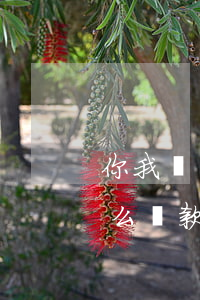 你我貸債權人轉(zhuǎn)讓債權后怎么還款-你我貸債權人轉(zhuǎn)讓債權后怎么還款呢