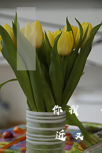 你我貸分期逾期了一天(你我貸逾期一年了,最近又開始催收了)