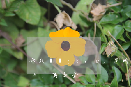 你我貸協(xié)商成功(你我貸協(xié)商本金)