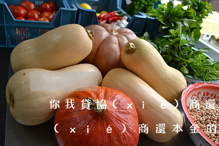 你我貸協(xié)商還款靠譜 你我貸有協(xié)商還本金的嗎