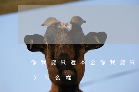 你我貸只還本金(你我貸只管本金會(huì)怎么樣)
