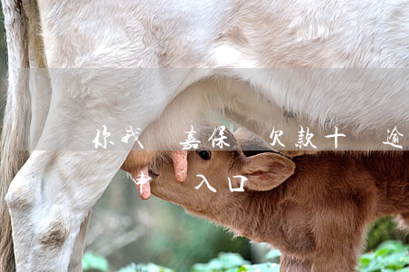 你我貸嘉保貸欠款十萬逾期半年(你我貸嘉保貸申請入口)