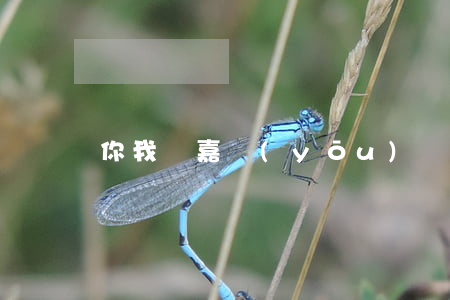 你我貸嘉優(yōu)貸只還本金