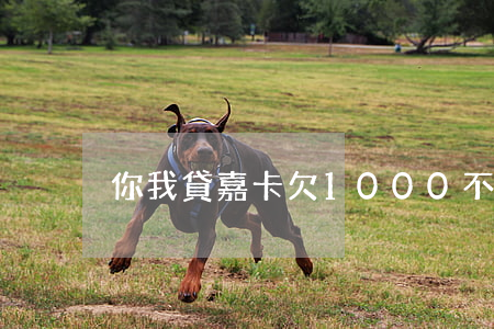 你我貸嘉卡欠1000不還(你我貸的嘉保貸)