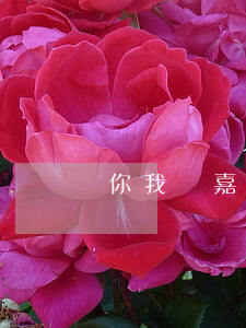你我貸嘉卡貸逾期再借(嘉卡貸是你我貸嗎)