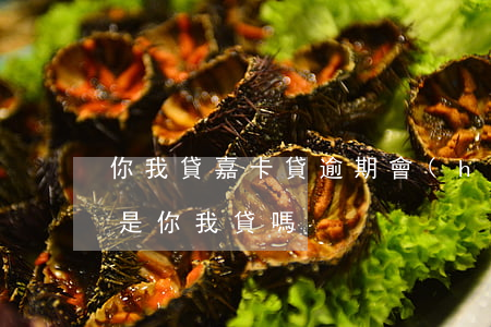 你我貸嘉卡貸逾期會(huì)起訴(嘉卡貸是你我貸嗎)