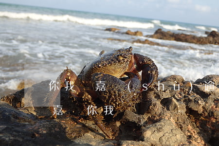 你我貸嘉數(shù)逾期一個(gè)月(嘉銀你我貸)