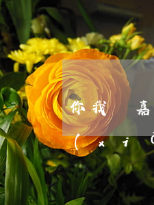 你我貸嘉英貸逾期怎么辦(上海嘉銀你我貸現(xiàn)況)