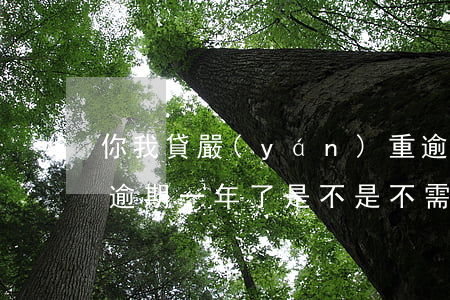 你我貸嚴(yán)重逾期會怎么樣(你我貸逾期一年了是不是不需要還了?)