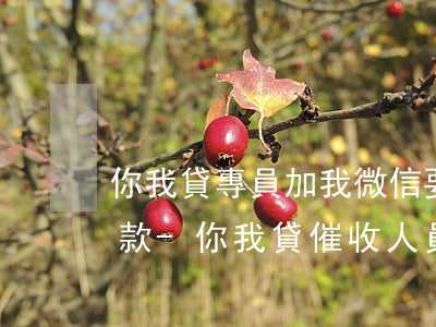 你我貸專員加我微信要我協(xié)商還款-你我貸催收人員加了微信還了錢然后你我貸不承認(rèn)