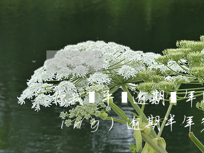 你我貸平臺逾期兩年說上門(你我貸已經(jīng)逾期半年多了,現(xiàn)在說要起訴我)