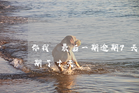 你我貸最后一期逾期7天(車貸最后一期了逾期了十天)
