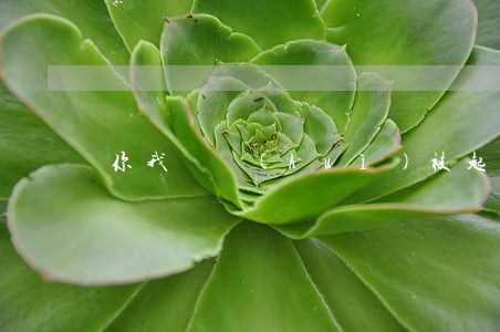 你我貸會(huì)被起訴嗎