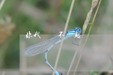 你我貸會不會起訴