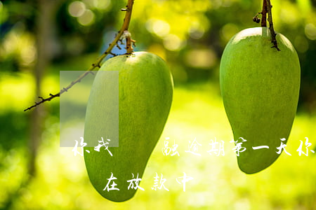 你我貸極融逾期第一天(你我貸極融20天了還在放款中)