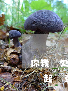 你我貸欠1500會不會被起訴(你我貸真的會起訴法院么)