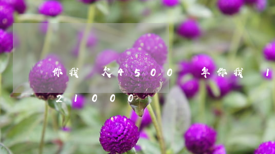 你我貸欠4500兩年(你我貸15000還21000)