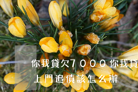 你我貸欠7000(你我貸欠款2年,打電話說上門追債,該怎么辦)