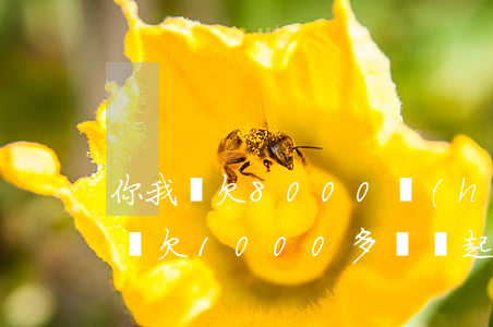 你我貸欠8000會(huì)上門嗎(你我貸欠1000多塊錢起訴找上門來(lái)了 只需要還本金嗎)