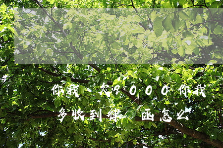 你我貸欠9000(你我貸欠了5千逾期半年多收到律師函怎么辦)