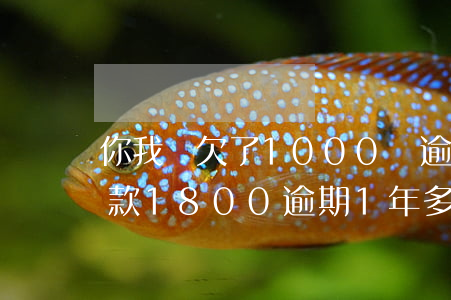 你我貸欠了1000塊逾期3年了(你我貸欠款1800,逾期1年多,會有怎么影響)