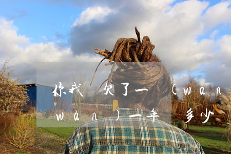 你我貸欠了一萬(wàn)(你我貸借一萬(wàn)一年還多少)