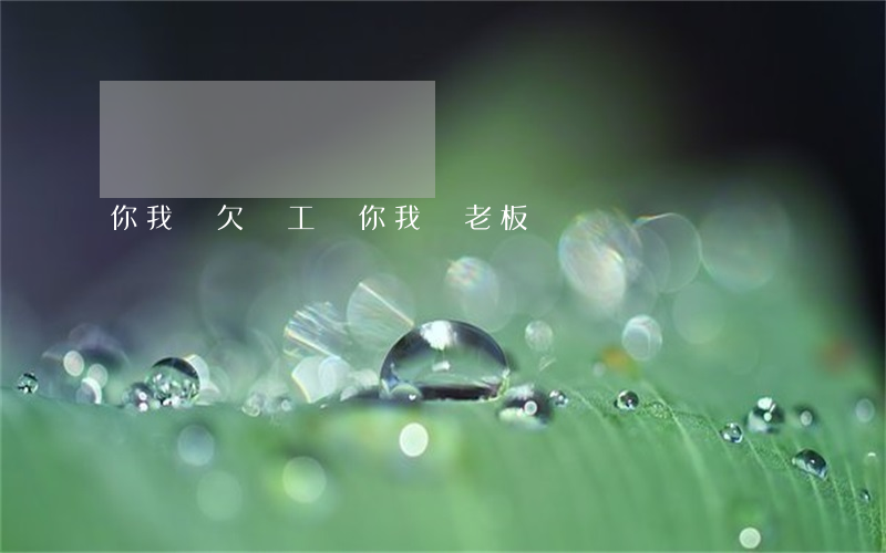 你我貸欠員工錢(你我貸老板)