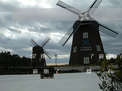 你我貸沒錢還了逾期了(你我貸是不是倒閉了逾期了電話都沒有)
