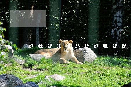 你我貸法律起訴(你我貸提起訴訟是真的嗎)