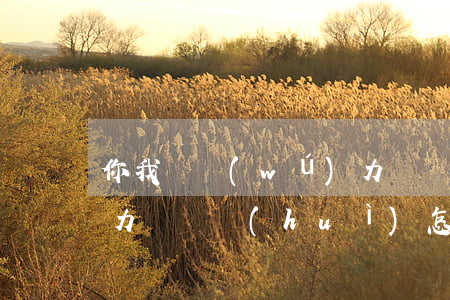 你我貸無(wú)力償還 你我貸無(wú)力償還會(huì)怎么樣