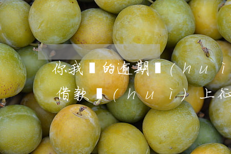 你我貸的逾期會(huì)上征信嗎(你我貸借款會(huì)上征信嗎)