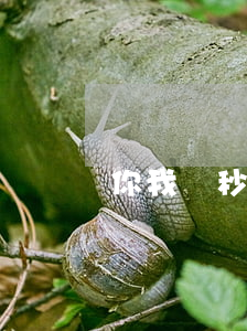 你我貸秒借逾期費多少(你我貸_秒借app)